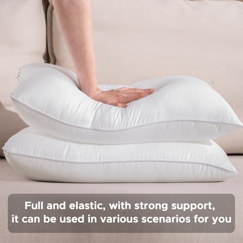 20 x 20 Outdoor Pillow Inserts Set of 2 Waterproof 20×20 Inches Pack of 2