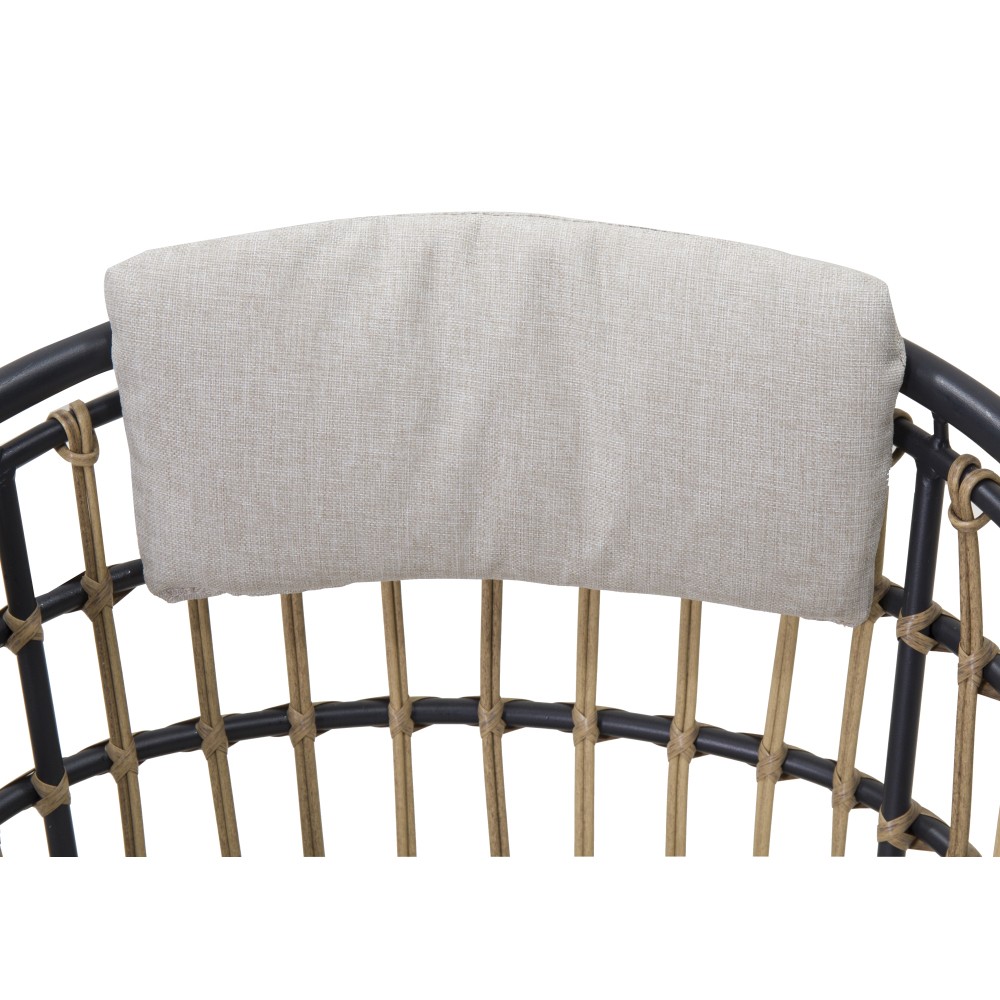 Outdoor Wicker Dining Chairs Set of 2, Patio Dining Chairs with Cushions