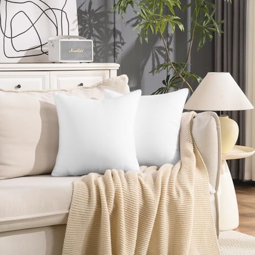 20 x 20 Outdoor Pillow Inserts Set of 2 Waterproof 20×20 Inches Pack of 2