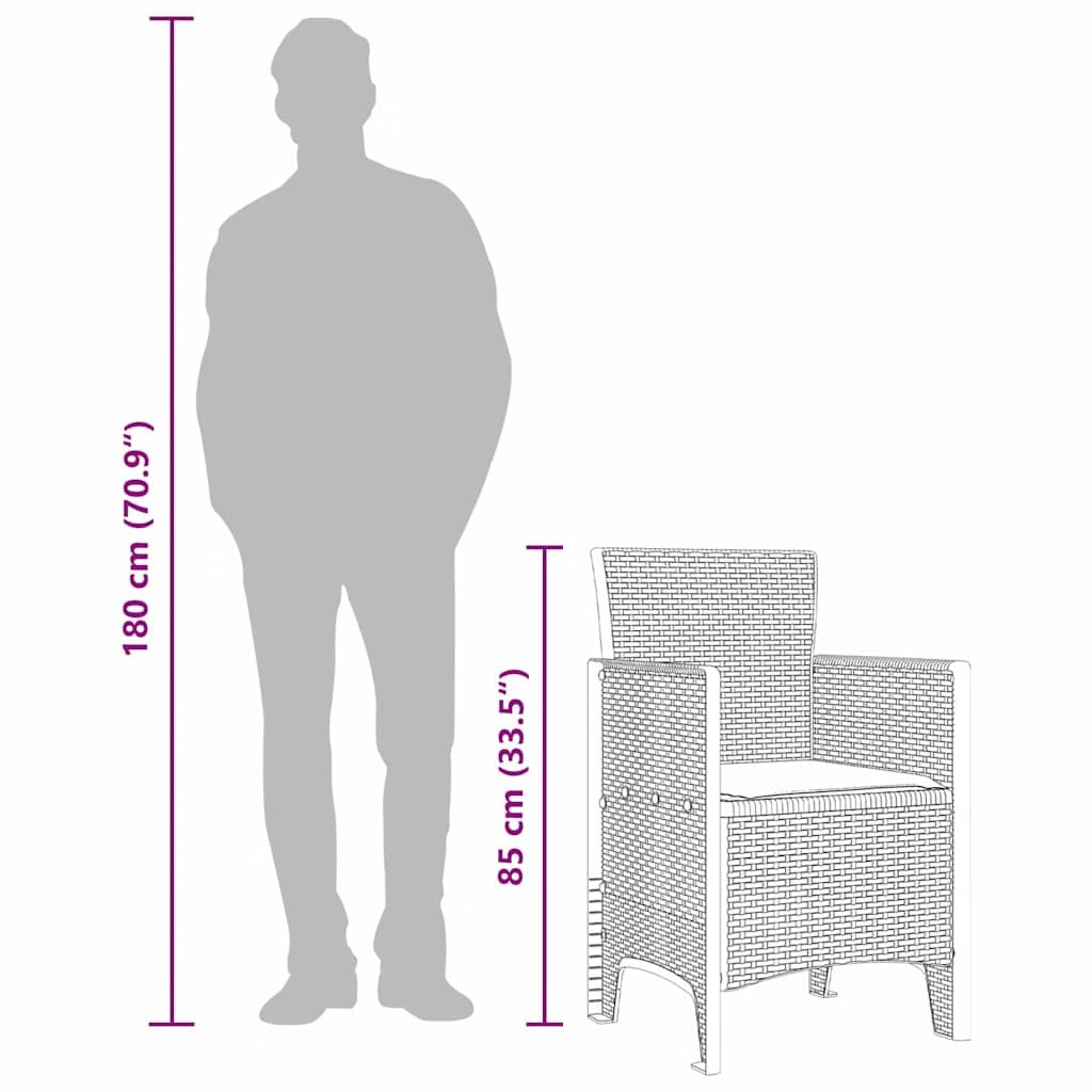 Garden Chair 2 pcs Brown Polypropylene
