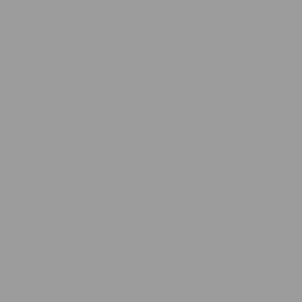 Garden Shed Light gray Galvanized steel 75.2 x 51.2 x 78.0 in