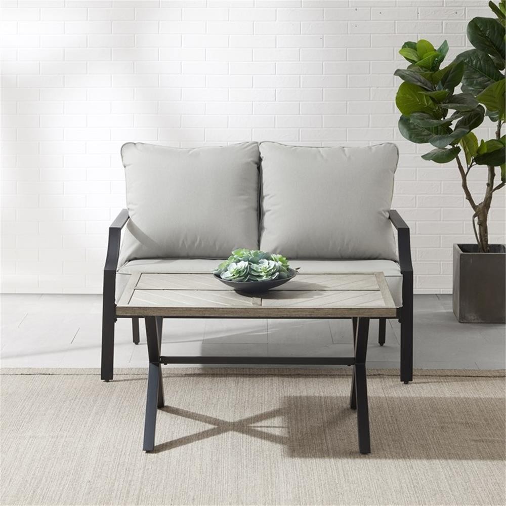 Pemberly Row 2-Piece Modern Metal Conversation Set in Gray/Matte Black